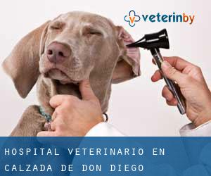 Hospital veterinario en Calzada de Don Diego