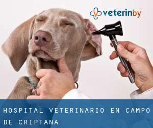 Hospital veterinario en Campo de Criptana