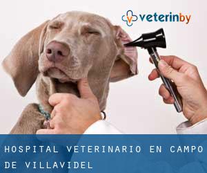 Hospital veterinario en Campo de Villavidel