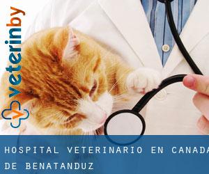 Hospital veterinario en Cañada de Benatanduz
