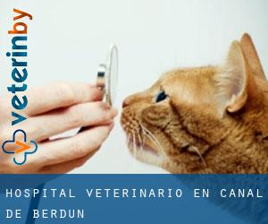 Hospital veterinario en Canal de Berdún