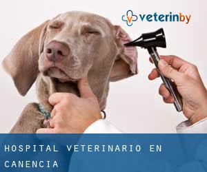 Hospital veterinario en Canencia