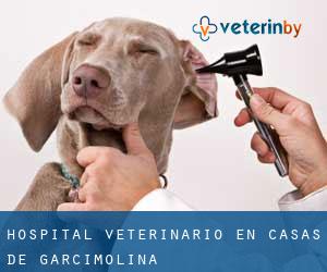 Hospital veterinario en Casas de Garcimolina