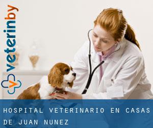 Hospital veterinario en Casas de Juan Núñez