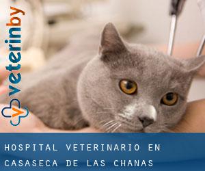 Hospital veterinario en Casaseca de las Chanas
