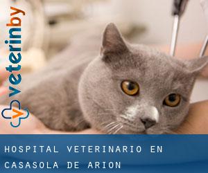 Hospital veterinario en Casasola de Arión