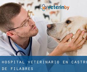 Hospital veterinario en Castro de Filabres