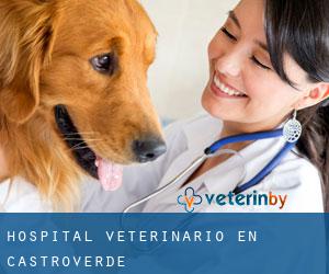 Hospital veterinario en Castroverde