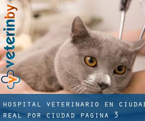 Hospital veterinario en Ciudad Real por ciudad - página 3