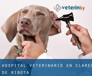 Hospital veterinario en Clarés de Ribota