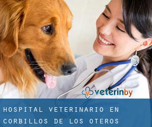 Hospital veterinario en Corbillos de los Oteros Hospital veterinario en Corbillos de los Oteros