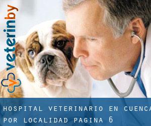 Hospital veterinario en Cuenca por localidad - página 6