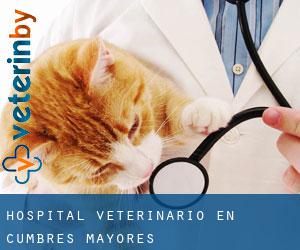 Hospital veterinario en Cumbres Mayores