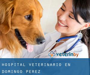 Hospital veterinario en Domingo Pérez