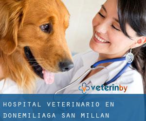 Hospital veterinario en Donemiliaga / San Millán