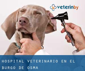 Hospital veterinario en El Burgo de Osma