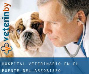 Hospital veterinario en El Puente del Arzobispo