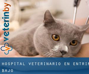 Hospital veterinario en Entrín Bajo