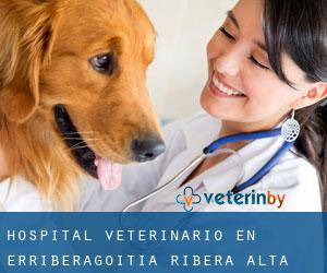 Hospital veterinario en Erriberagoitia / Ribera Alta
