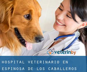 Hospital veterinario en Espinosa de los Caballeros