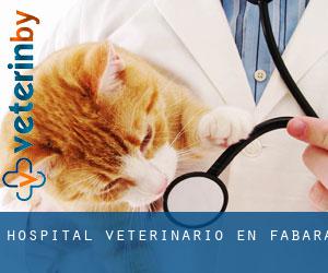 Hospital veterinario en Fabara