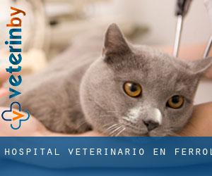 Hospital veterinario en Ferrol