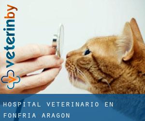 Hospital veterinario en Fonfría (Aragón)