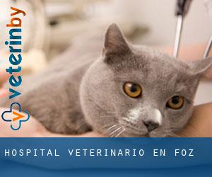 Hospital veterinario en Foz
