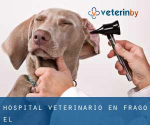 Hospital veterinario en Frago (El)