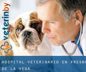 Hospital veterinario en Fresno de la Vega Hospital veterinario en Fresno de la Vega