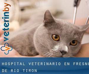 Hospital veterinario en Fresno de Río Tirón