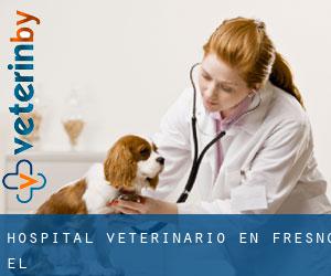 Hospital veterinario en Fresno (El)