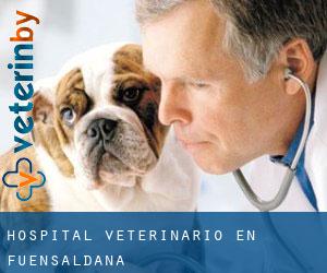 Hospital veterinario en Fuensaldaña