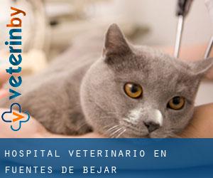 Hospital veterinario en Fuentes de Béjar
