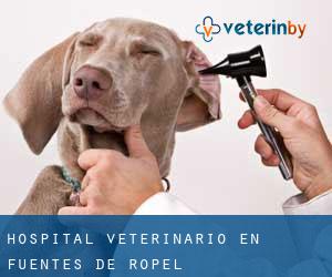 Hospital veterinario en Fuentes de Ropel