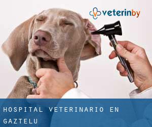Hospital veterinario en Gaztelu