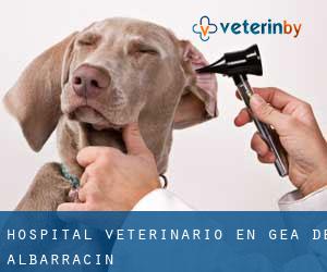 Hospital veterinario en Gea de Albarracín