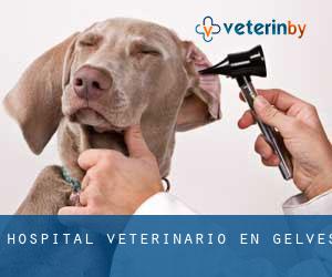 Hospital veterinario en Gelves