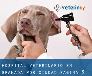 Hospital veterinario en Granada por ciudad - página 3