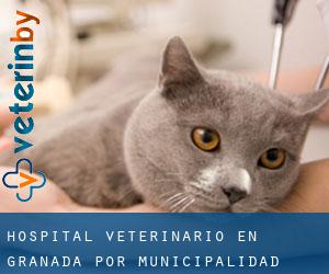 Hospital veterinario en Granada por municipalidad - página 4