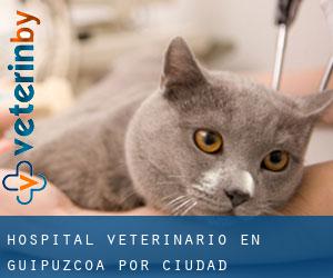 Hospital veterinario en Guipúzcoa por ciudad importante - página 3
