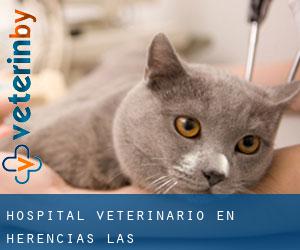 Hospital veterinario en Herencias (Las)