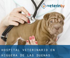 Hospital veterinario en Higuera de las Dueñas