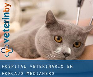 Hospital veterinario en Horcajo Medianero