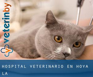 Hospital veterinario en Hoya (La)