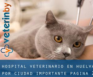 Hospital veterinario en Huelva por ciudad importante - página 2