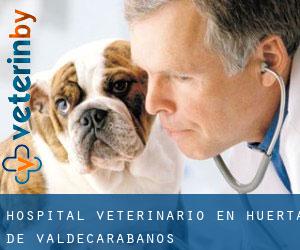 Hospital veterinario en Huerta de Valdecarábanos