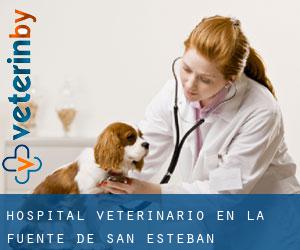 Hospital veterinario en La Fuente de San Esteban