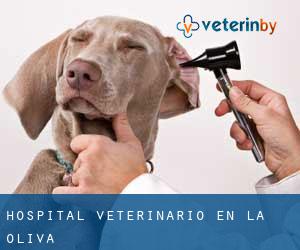 Hospital veterinario en La Oliva Hospital veterinario en La Oliva