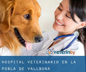 Hospital veterinario en La Pobla de Vallbona